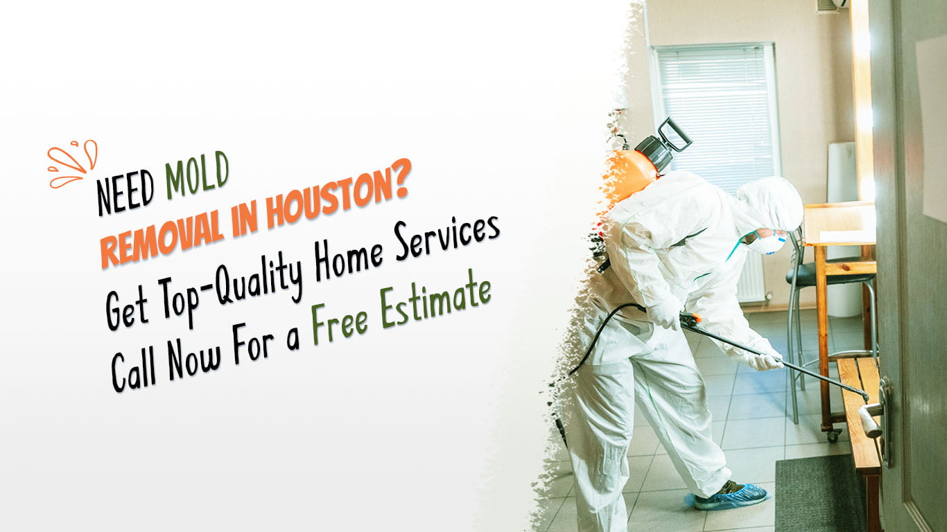 mold removal services in houston texas IMG