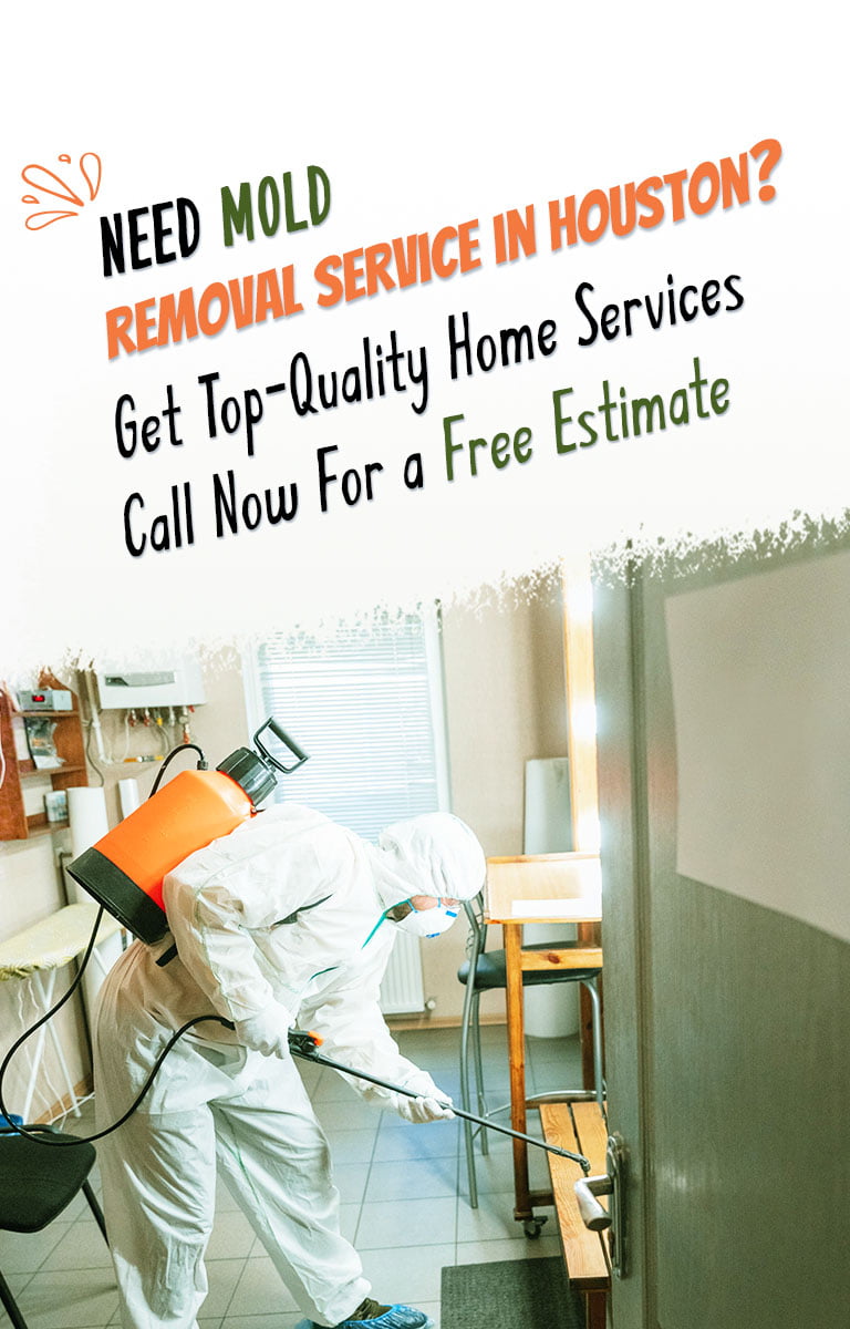 plumbing mold removal services in houston texas mobile IMG
