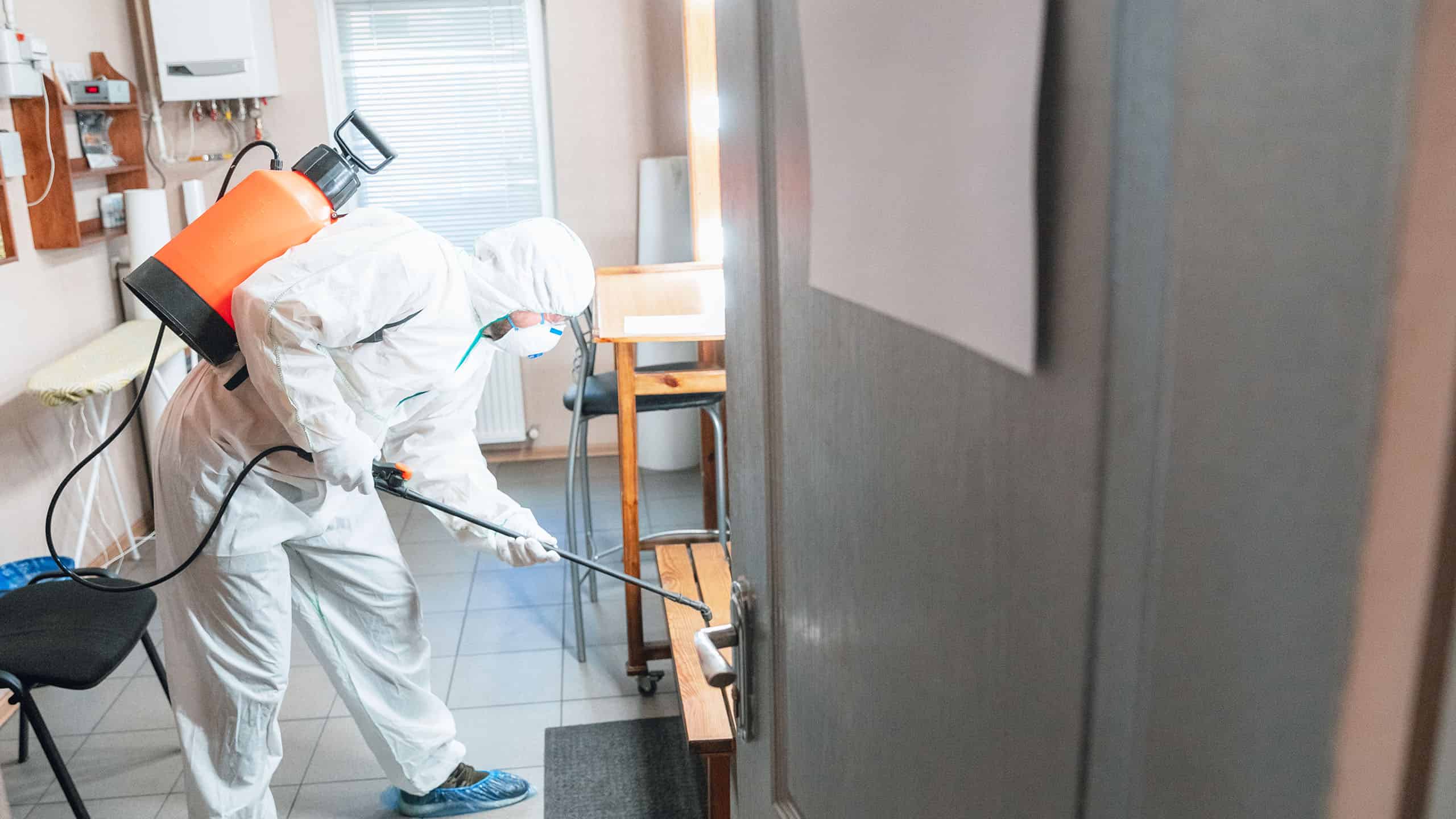 mold removal services in houston texas copy